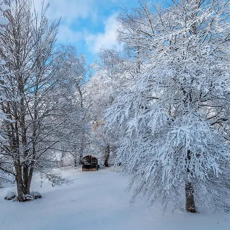 Haus Doktor Saeltzer 아파트