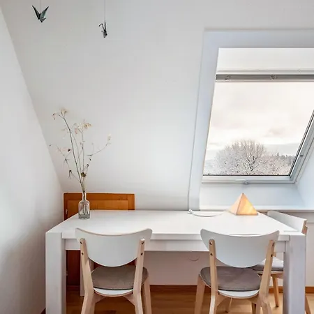 Haus Doktor Saeltzer 公寓