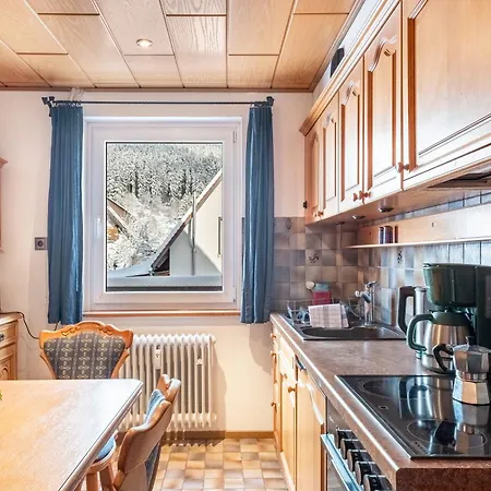 Haus Doktor Saeltzer 公寓 *