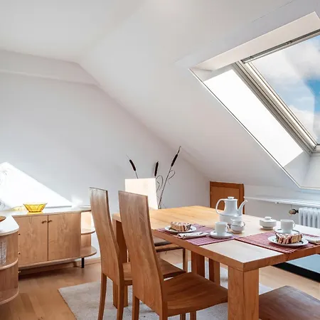 Haus Doktor Saeltzer 伦茨基希