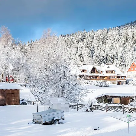 公寓 Haus Doktor Saeltzer *