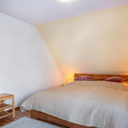 Haus Doktor Saeltzer 公寓 伦茨基希