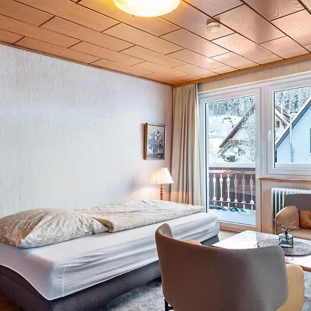 公寓 Haus Doktor Saeltzer 伦茨基希