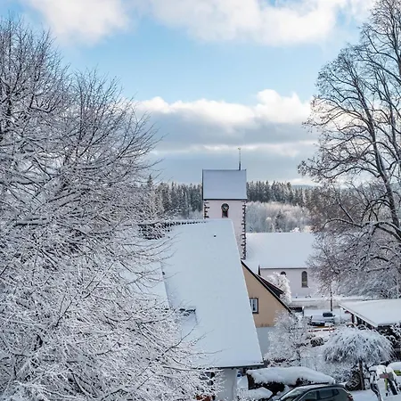 Haus Doktor Saeltzer 伦茨基希