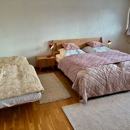 Haus Doktor Saeltzer 公寓 伦茨基希