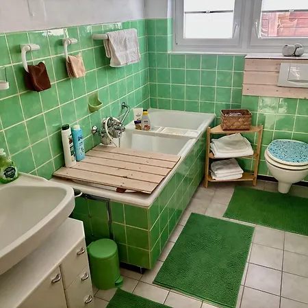 Haus Doktor Saeltzer * 伦茨基希