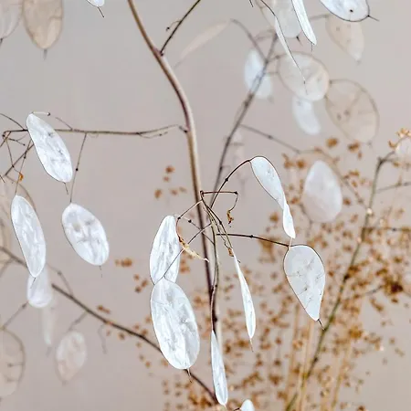 Haus Doktor Saeltzer 아파트