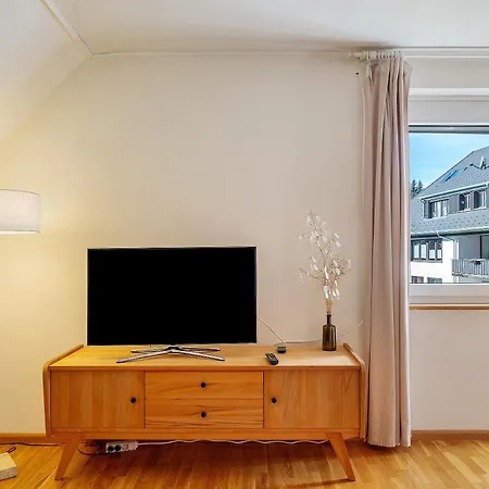公寓 Haus Doktor Saeltzer