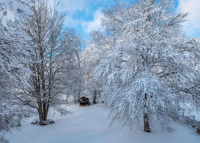 Haus Doktor Saeltzer شقة