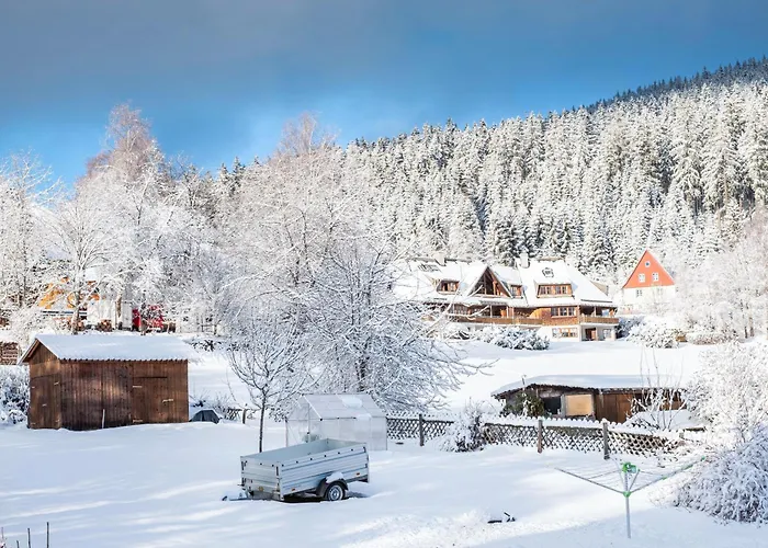 شقة Haus Doktor Saeltzer *