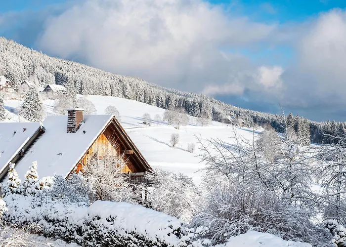 Haus Doktor Saeltzer لينزكريش