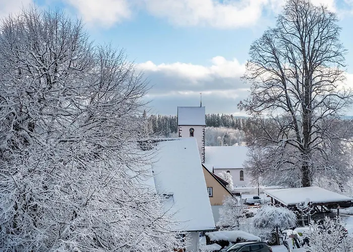 Haus Doktor Saeltzer لينزكريش