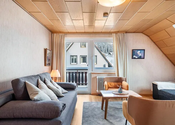 Haus Doktor Saeltzer لينزكريش