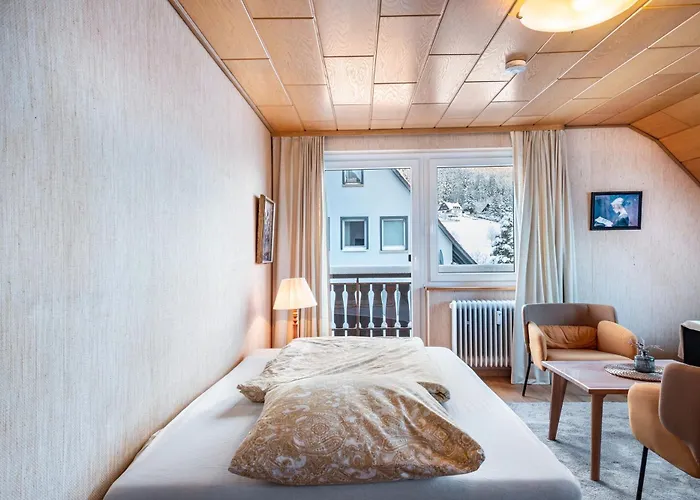 شقة Haus Doktor Saeltzer لينزكريش