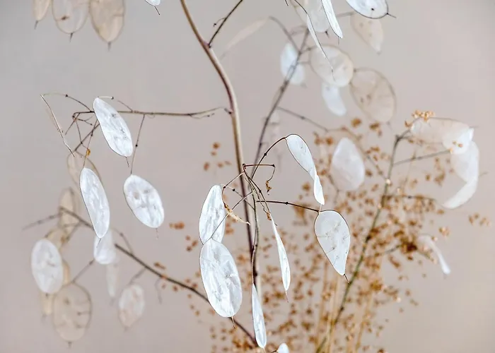 Haus Doktor Saeltzer شقة